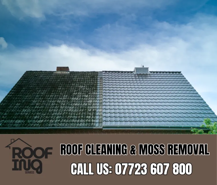 Roof Cleaning in Torquay
