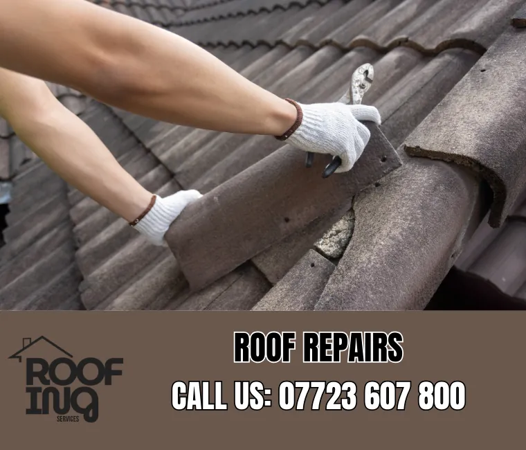 Professional roof repair services in Torquay